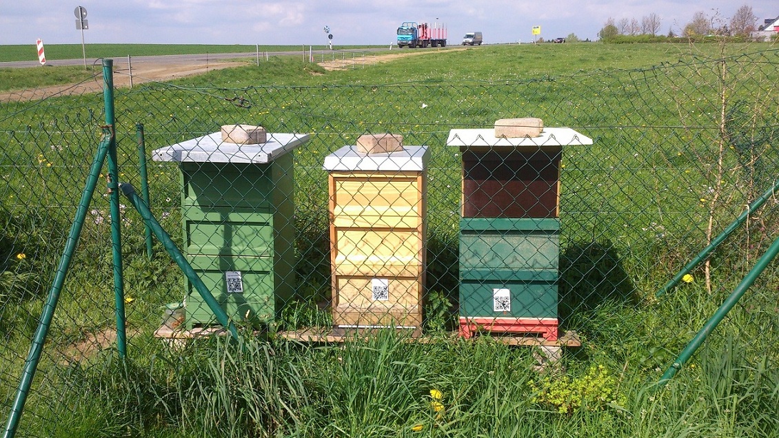 Völker im Garten.jpg