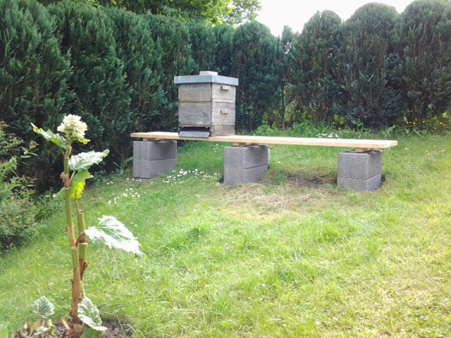 20140525_172251.jpg