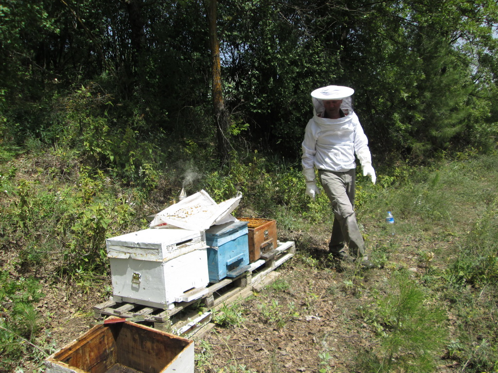 Ankunft der Bienenvölker.JPG